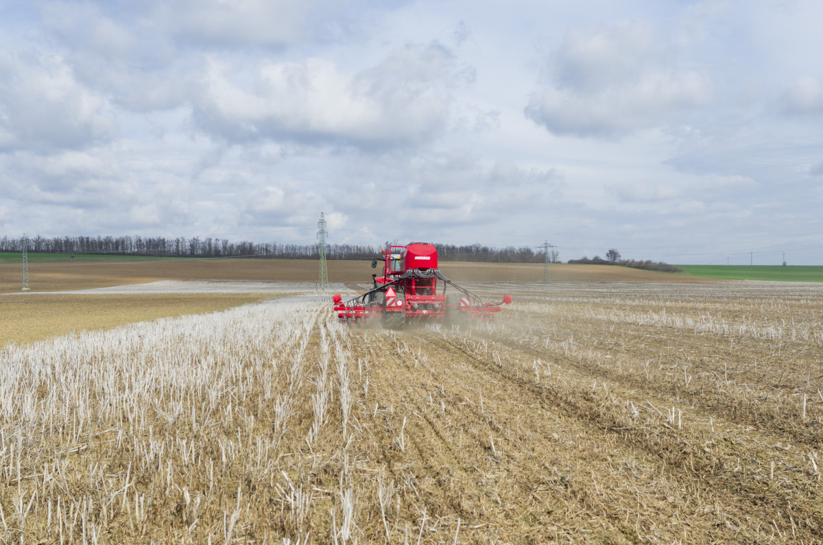 Regenerativní zemědělství na naší farmě