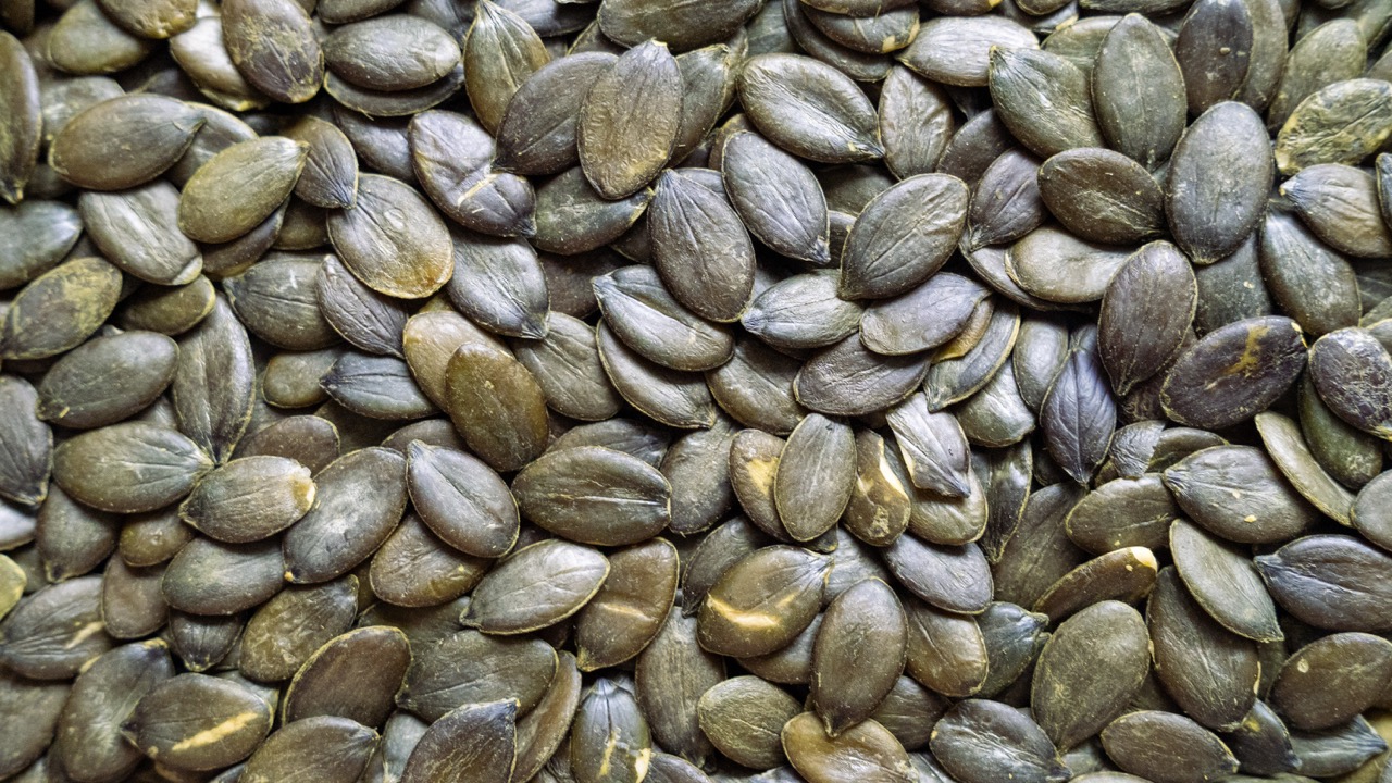 dýňová semínka